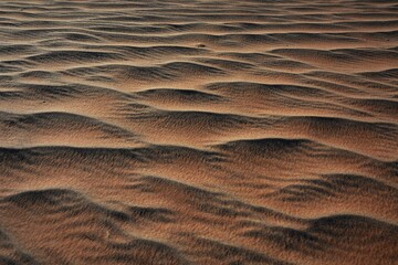Wellenlinien einer Sanddüne im Namib-Naukluft-Park in Namibia. 
