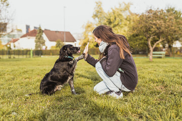 Naklejka na ściany i meble Young woman in the give me five position kneeling next to a cute black dog. Bond of trust between owner and a dog. Love and affection concept.