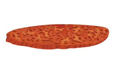 Smoked salami slice. vector illustration