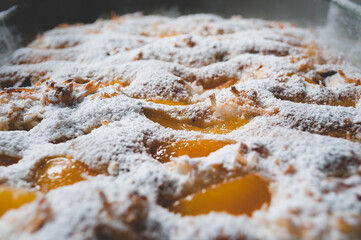 A homemade delicious fresh baked sponge apricot cake with the fruit and icing sugar on the top. Close up view from the side. Selective focus.