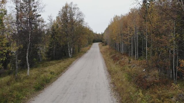 Dirt road through the autumn forest 
