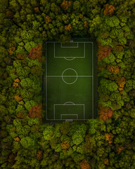 Aerial view of an empty soccer field surrounded by trees in a forest during autumn © Sergey Zhesterev/Wirestock