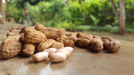 Organic peanut on natural background