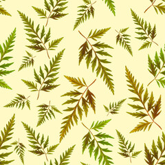 Seamless botanical pattern. A repeating pattern. The leaves are real, not painted. Delicate pattern. Inspiration from nature.
