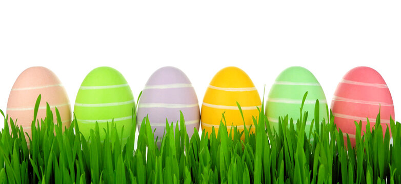 Easter eggs in a row with green grass isolated on a white background