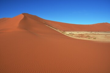 Fototapeta na wymiar Hidden Vlei im Namib-Naukluft Nationalpark in Namibia. 