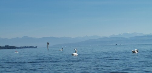 Obraz premium Landschaft