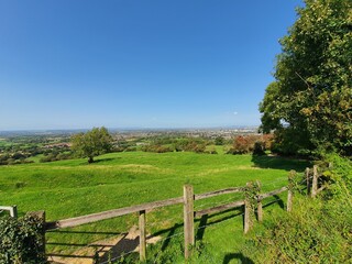 landscape with fence