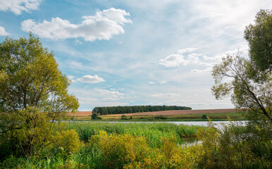 Sunny summer landscape with river