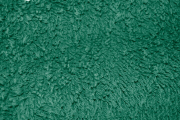 Dark green carpet backgrounds and texture. Design element.