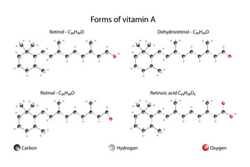 Form of vitamin A. Retinol, dehydroretinol, retinal, retinoic acid.