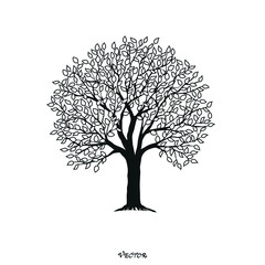 Tree shape with leaves. Vector outline illustration. Plant in the garden. Nature
Vector icons on a white background. Black flat style.