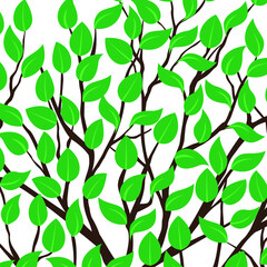 Leaves on the tree branches
Spring branch with green leaves on white