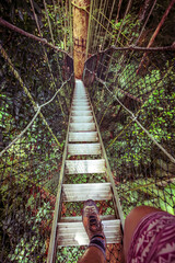 Walking on the tree top trail in Taman Negara in Malaysia.