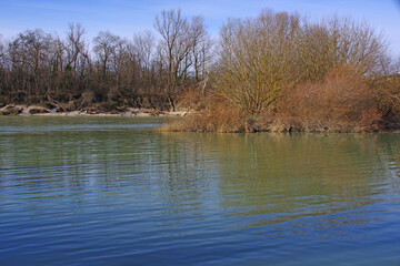 Au bord du Vieux Rhône