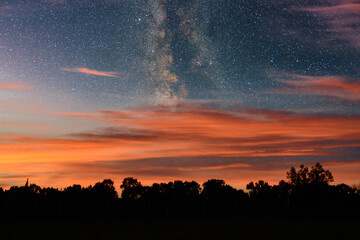 sunset milky way and trees