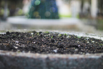 Ruins of an ancient Greek city by the sea. Chersonesos. The ancient city. Black Sea.