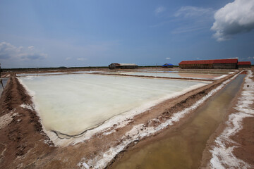 Salt Fields in Kampot producing world famous Cambodian salt 