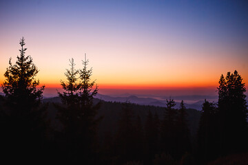 Fototapeta premium The silhouette of a fir tree against the background of a mountain valley and the orange and purple sky at dawn. Sunrise in the mountains, panoramic view.