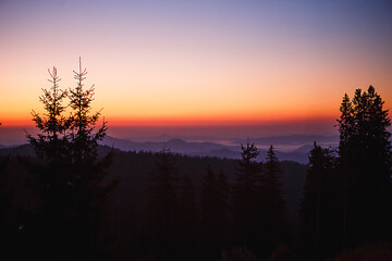 Fototapeta premium The silhouette of a fir tree against the background of a mountain valley and the orange and purple sky at dawn. Sunrise in the mountains, panoramic view.