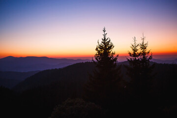 Fototapeta na wymiar The silhouette of a fir tree against the background of a mountain valley and the orange and purple sky at dawn. Sunrise in the mountains, panoramic view.