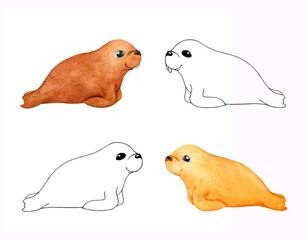 Baby walrus. Coloring book. For children's creativity and design.