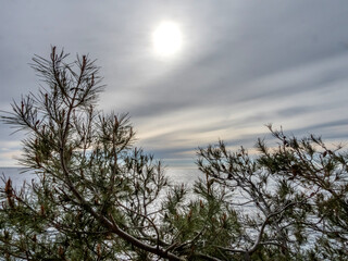 Paysage de bord de mer aux couleurs hivernales sur la presqu'île du Cap Ferrat sur la côte d'Azur