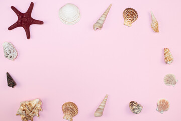Creative seashell pattern pastel pink background. Top view of the sea background. Place for your text.