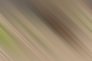 abstract art background. Strokes painted on canvas. Modern artwork. brown gray green natural colors. Speed blurred.