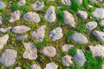 Old stone pavement with green grass. Abstract background from stones and grass.