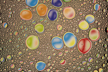 Rainbow Oil and Water Abstract Wallpaper Background Texture. Oil Bubbles and blobs containing lots of vibrant beautiful colors. Unique fun image.