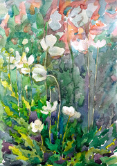 Hand painted watercolor flowers in the garden