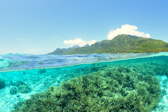 Lagon bleu turquoise de moorea - Polynesie Francaise - photo mi air mi eau