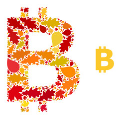 Bitcoin Symbol mosaic icon combined for fall season. Vector bitcoin symbol mosaic is formed of scattered autumn maple and oak leaves. Mosaic autumn leaves in bright gold, brown and red colors.