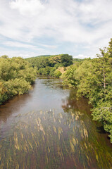 River Wye and the Wye valley in the Summertime