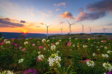 Windmill farm for electricity production. Wind power turbines generating clean renewable energy for...