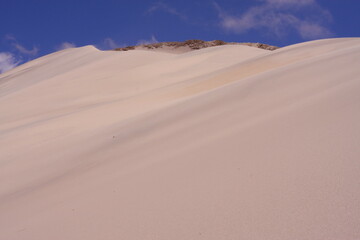 Fototapeta na wymiar The high altitude dunes in the Andes