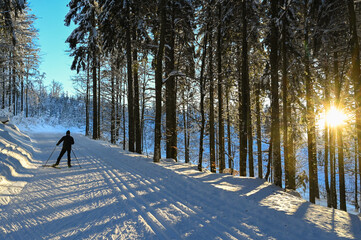 Langlaufen in der Abendstimmung