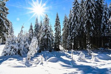 Winterlandschaft
