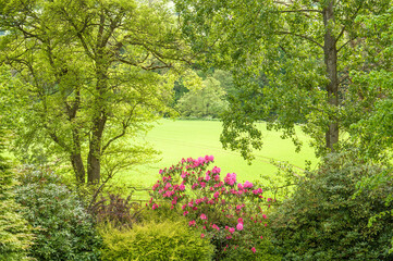 Obraz premium Spring morning in the forest