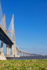 Vasco da gama Bridge during daytime, vertical shot close to the grass.