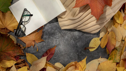 Autumn flat lay composition for product photography