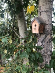 bird house on a tree