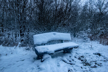snow covered bench in forest