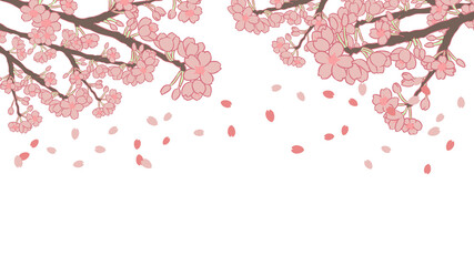 桜並木　花びら付き