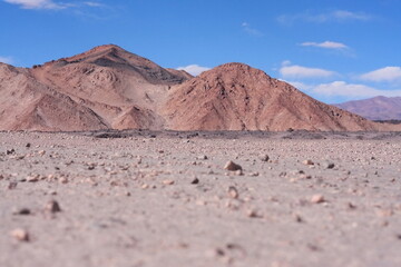 landscape in the desert