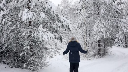 Woman alone walking in forest in calm winter day. Shinrin-yoku lifestyle concept.