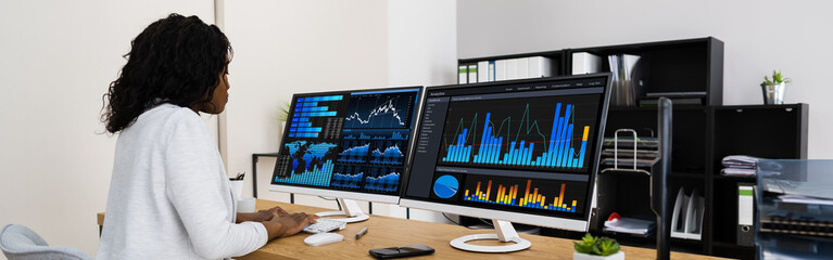 Business Analyst Woman