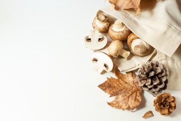 A set of fresh mushrooms, pine cones and dry maple leaves are on a light background. Autumn theme. Free space for text.