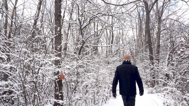 Man in a Coat walks away in Snowy Forest
